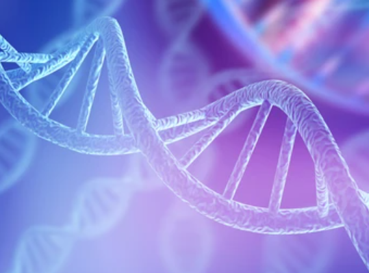 Pentingnya Pemeriksaan Genetik : Kunci Pengobatan yang Lebih Efektif!